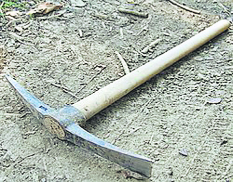 The accused absconded after killing a fellow laborer in a drunken state.