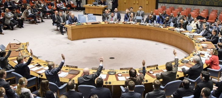 Pakistan opposes Group of Four for UN Security Council | पाकिस्तान ने ग्रुप ऑफ फोर का किया विरोध – Bhaskar Hindi