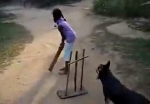 Tendulkar was impressed by the dogs sharp ball catching skills, posted the video Tendulkar was impressed by the dogs sharp ball catching skills, posted the video