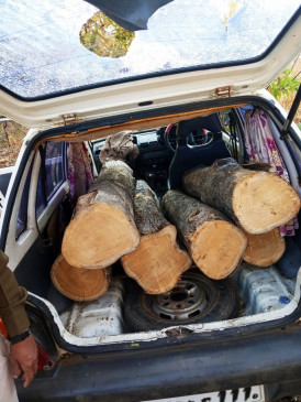 Chased a car carrying illegal wood transport