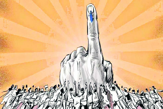 Election Commissions clarification on the representation of Hingna Pans raised the issue Election Commissions clarification on the representation of Hingna Pans raised the issue