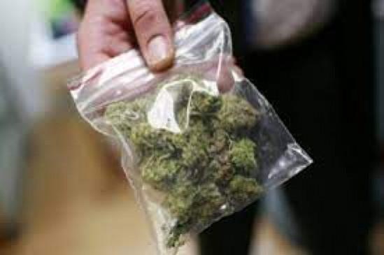 Intoxicating ganja seized in Barshitakali