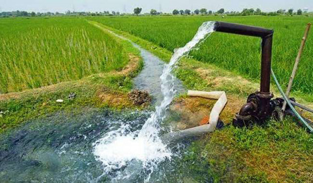 Irrigation problem of the farmers of Bhatkuli and Daryapur will be resolved soon