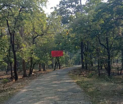 Naxalites put up banners on the middle of the road