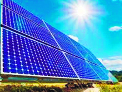 Construction of solar power project in Tembhurni Dhana