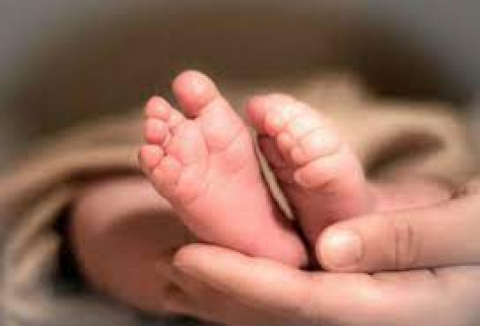Harassment on the birth of daughters, punishment for husband who forced her to commit suicide
