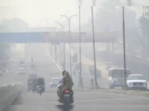 Neeris smart tree will control dust