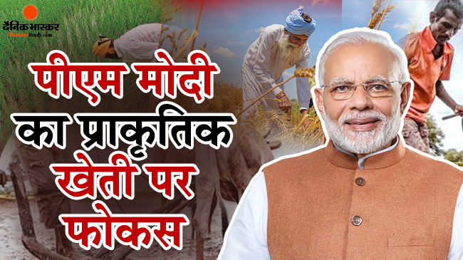 पीएम मोदी ने कृषि और खाद्य पर आधारित राष्ट्रीय शिखर सम्मेलन में कहा नेचुरल खेती से किसानों को होगा फायदा पीएम मोदी ने कृषि और खाद्य पर आधारित राष्ट्रीय शिखर सम्मेलन में कहा नेचुरल खेती से किसानों को होगा फायदा