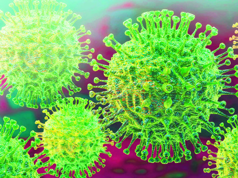 494 corona infected in seven districts of Vidarbha