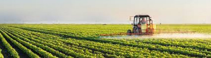 Government is making cuts in the budget allocation of the Department of Agriculture Research and Education