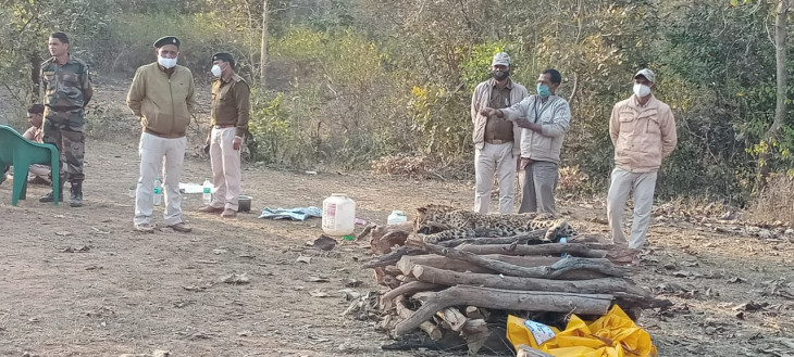 Leopard cub hunted by noose, four accused arrested