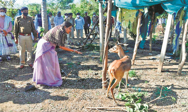 Oxygen park will be constructed in Savardi forest area Oxygen park will be constructed in Savardi forest area