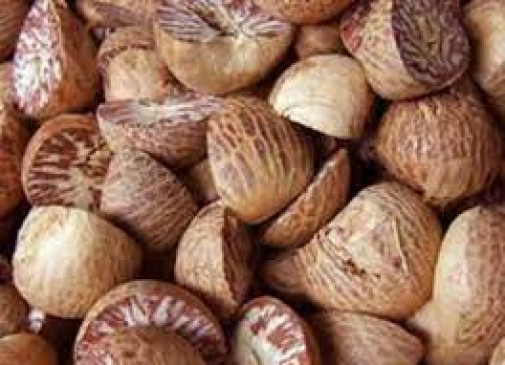 Transporter and betel nut trader on police remand