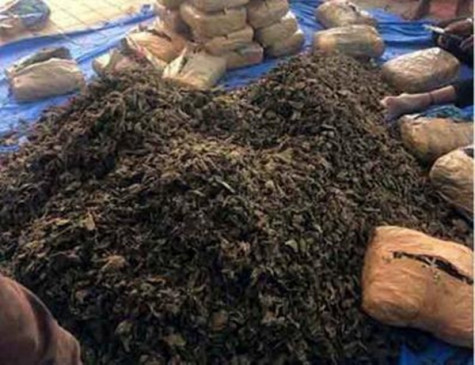 Demand for setting up of Tamil Nadu Police Narcotics Department Demand for setting up of Tamil Nadu Police Narcotics Department