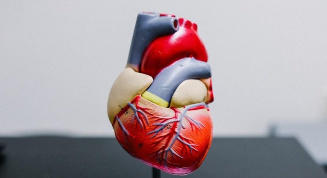 आनुवांशिक जांच से दिल की बीमारियों का पता चल सकेगा