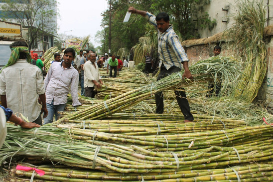 Invented new technology for purification of sugarcane juice