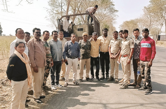 Forest Department rescue squad caught bear from Sita Mata temple complex