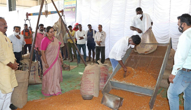 Turmeric purchase started in agricultural market with support price Turmeric purchase started in agricultural market with support price
