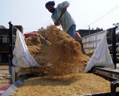 Wheat procurement will start in UP from April 1, registration will start