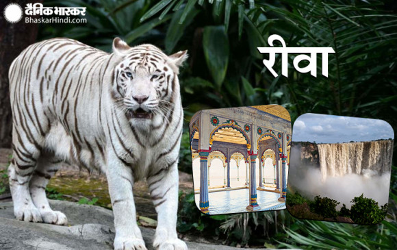 रीवा जिले के हनुमना थाना की बड़ी कार्रवाई