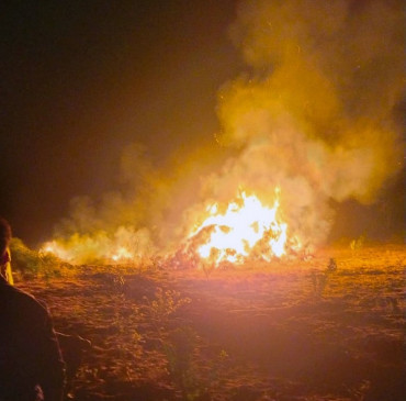 Farmers gram and 150 mosambi trees burnt to ashes Farmers gram and 150 mosambi trees burnt to ashes