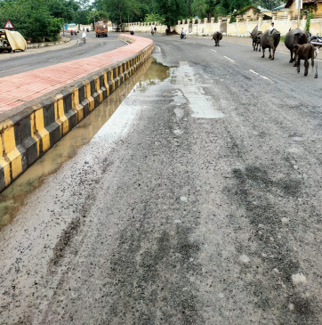Farmers worried due to inclement weather, drizzle in Dharani Farmers worried due to inclement weather, drizzle in Dharani