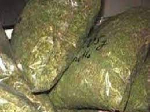 Hemp sellers house raided, accused arrested