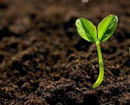 National Seminar on Soil Management in Changing Climate from tomorrow