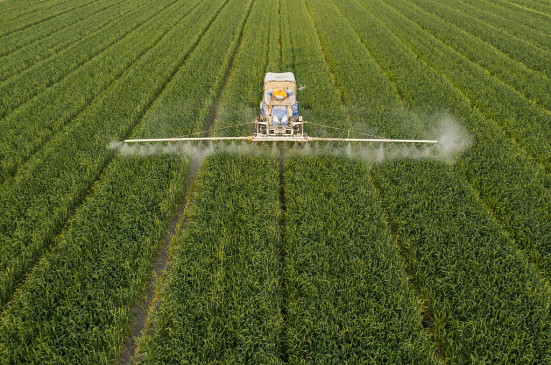 Food security is an important issue Food security is an important issue