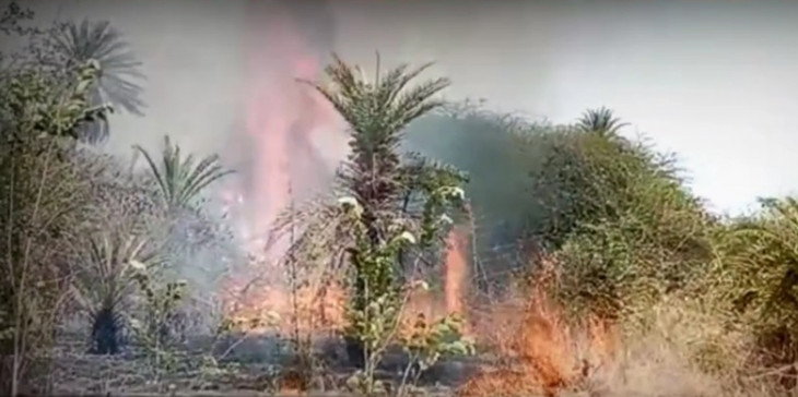 Fire in the forest of Pimplekhuta, many trees burnt down Fire in the forest of Pimplekhuta, many trees burnt down
