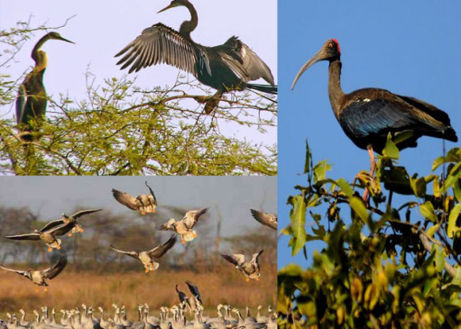 Foreign guests started arriving in Vaghala