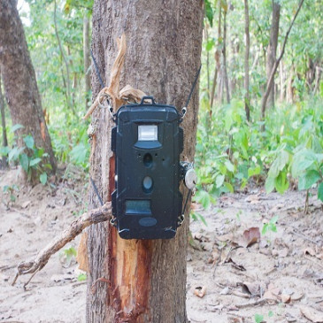 Forest Department installed trap cameras in the village forest area