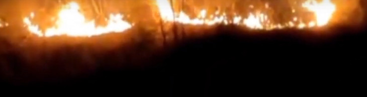 Loss of lakhs in the fire in the fruit orchard Loss of lakhs in the fire in the fruit orchard