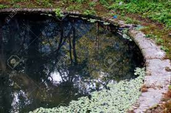 quench the thirst of wildlife 150 artificial pool quench the thirst of wildlife 150 artificial pool