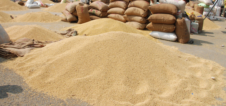 Soybean prices rise in Daryapur, buying from Rs 8 thousand per quintal Soybean prices rise in Daryapur, buying from Rs 8 thousand per quintal