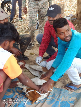 कान्हा से सटे 169 वनग्रामों में चलेगा अभियान। कान्हा से सटे 169 वनग्रामों में चलेगा अभियान।