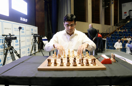 Chess Player Viswanathan Anand : FIDE चे उपाध्यक्ष