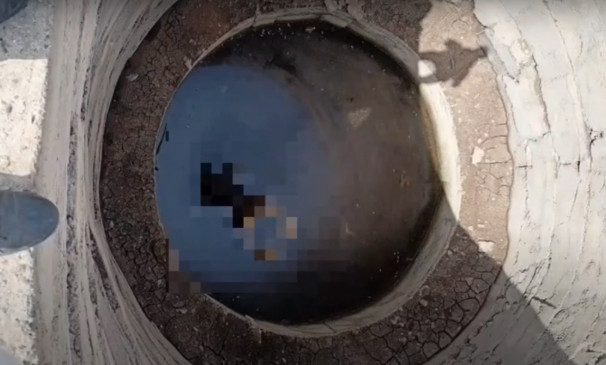 After killing the shepherd, the dead body was thrown in the well. After killing the shepherd, the dead body was thrown in the well.