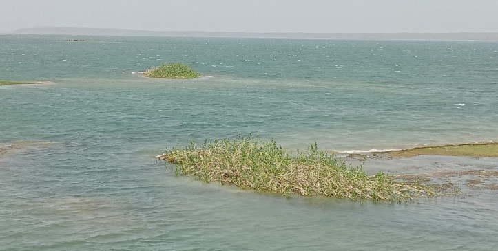 As the temperature rises in Amravati, the water level is decreasing As the temperature rises in Amravati, the water level is decreasing
