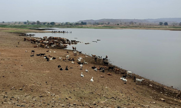 Farmers facing the problem of farming due to lack of irrigation Farmers facing the problem of farming due to lack of irrigation