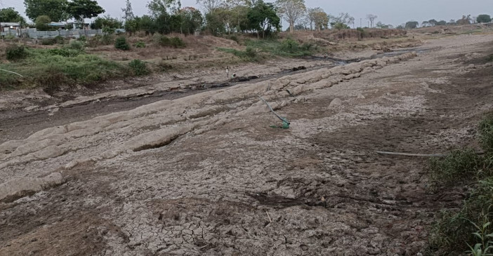 Melghats Gadga river dry, wildlife wandering for drinking water Melghats Gadga river dry, wildlife wandering for drinking water