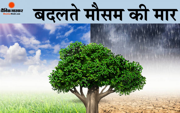 गर्मी से मिल सकती है थोड़ी राहत, मौसम बदल सकता है करवट गर्मी से मिल सकती है थोड़ी राहत, मौसम बदल सकता है करवट