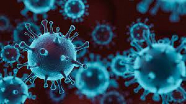 45 infected found in seven districts, increasing number