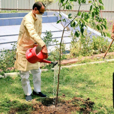5 crore saplings will be planted in 5 districts with a company