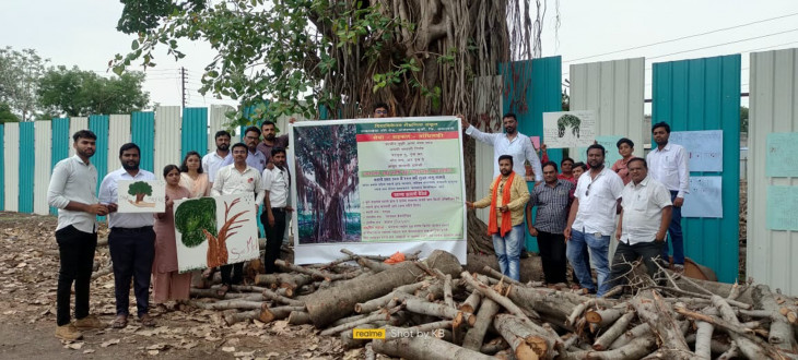 Apologies to the historic banyan tree for cutting a twig Apologies to the historic banyan tree for cutting a twig