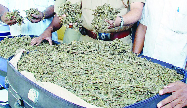 Ganj consignment was going to Achalpur, police caught it with goods Ganj consignment was going to Achalpur, police caught it with goods