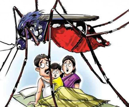 मलेरिया अलट... जिले के 16 गांव हाईरिस्क, टीम करेगी बचाव के उपाए