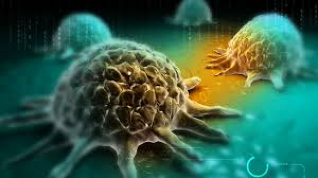 One cancer diagnosis van each will be available in eight regional offices of the state