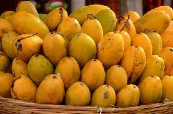 This year the production of mango decreased by 60 percent, due to which the price is high.