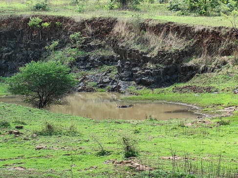 A rotten body found in an old mine pit near Ambada Khurd